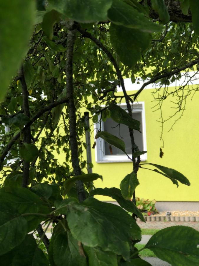 Villa Dirks Schmuckstück Weißwasser/Oberlausitz Exterior foto