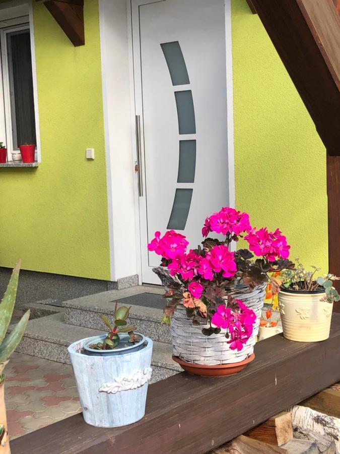 Villa Dirks Schmuckstück Weißwasser/Oberlausitz Exterior foto